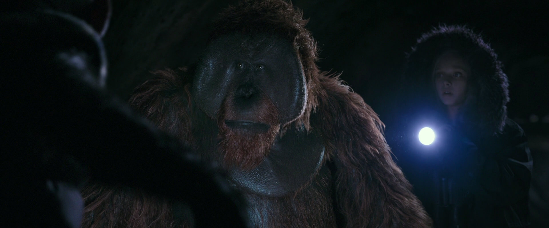 War for the Planet of the Apes (2017) screencap 12195