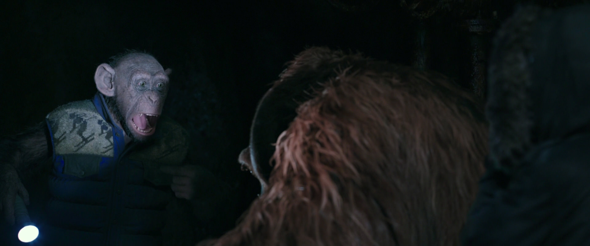 War for the Planet of the Apes (2017) screencap 12198