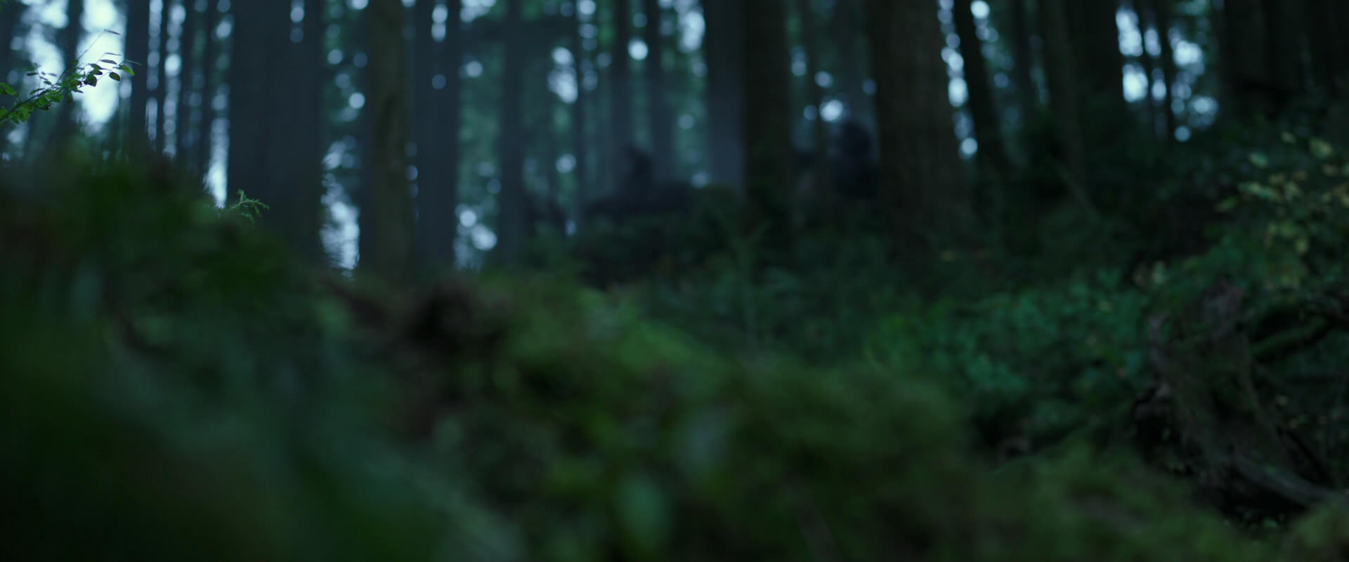 War for the Planet of the Apes (2017) HD screenshot 122
