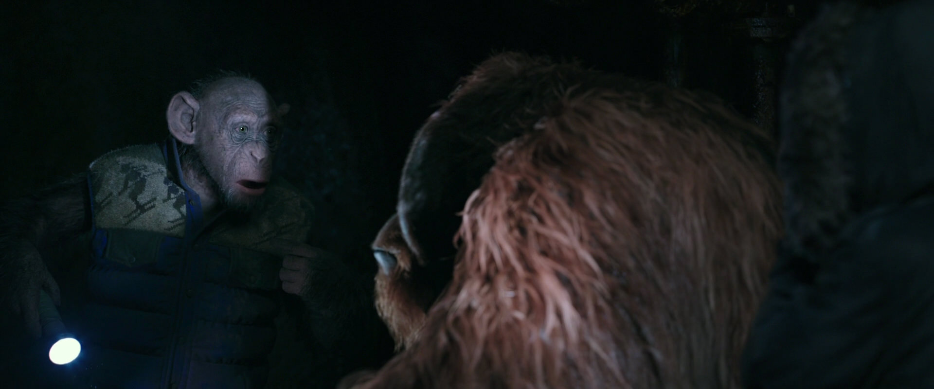 War for the Planet of the Apes (2017) screencap 12207