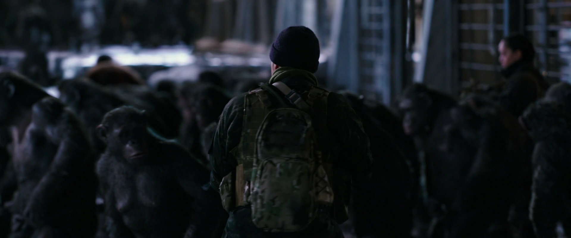 War for the Planet of the Apes (2017) screencap 12219