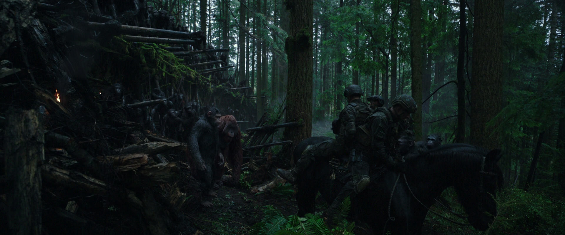 War for the Planet of the Apes (2017) movie still 1222