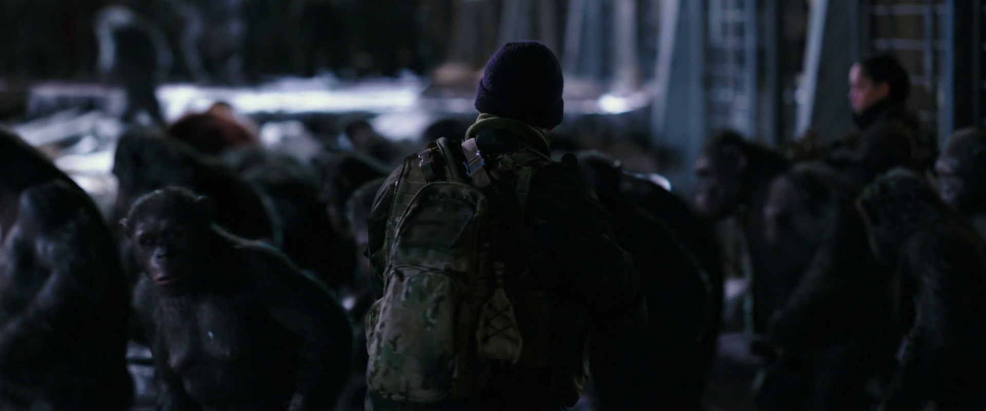 War for the Planet of the Apes (2017) movie still 12220