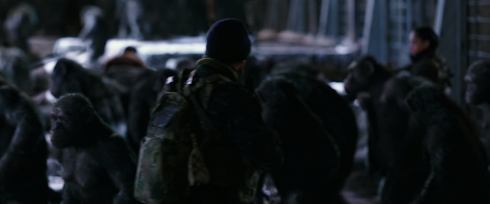 War for the Planet of the Apes (2017) HD screenshot 12221