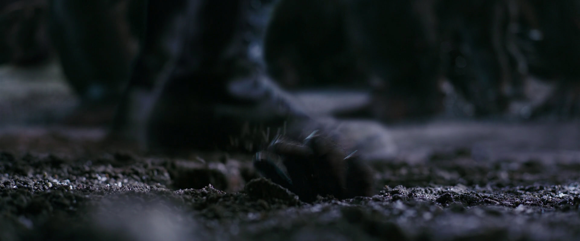 War for the Planet of the Apes (2017) HD screenshot 12242