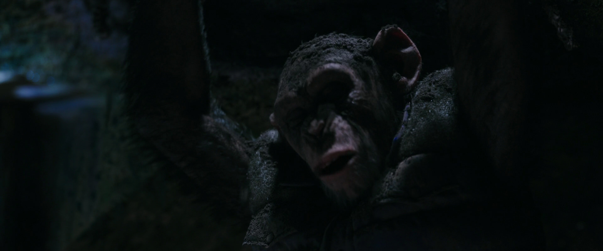 War for the Planet of the Apes (2017) movie still 12247