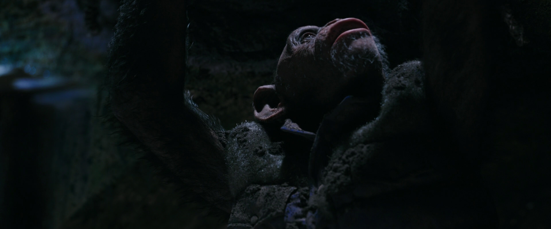 War for the Planet of the Apes (2017) movie still 12250