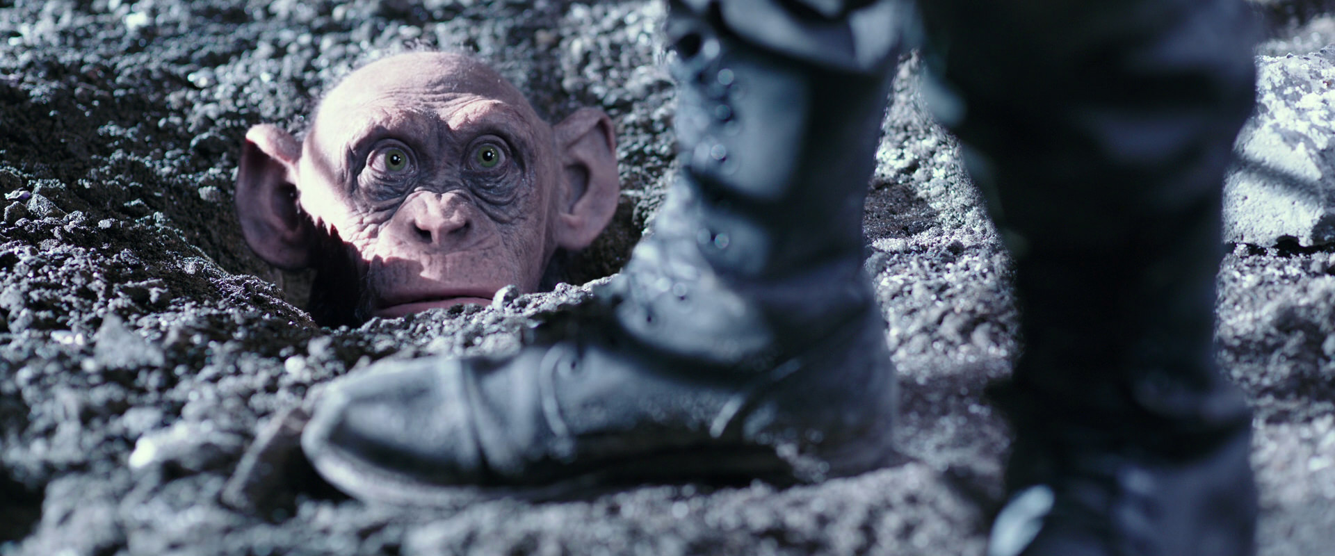 War for the Planet of the Apes (2017) movie still 12265