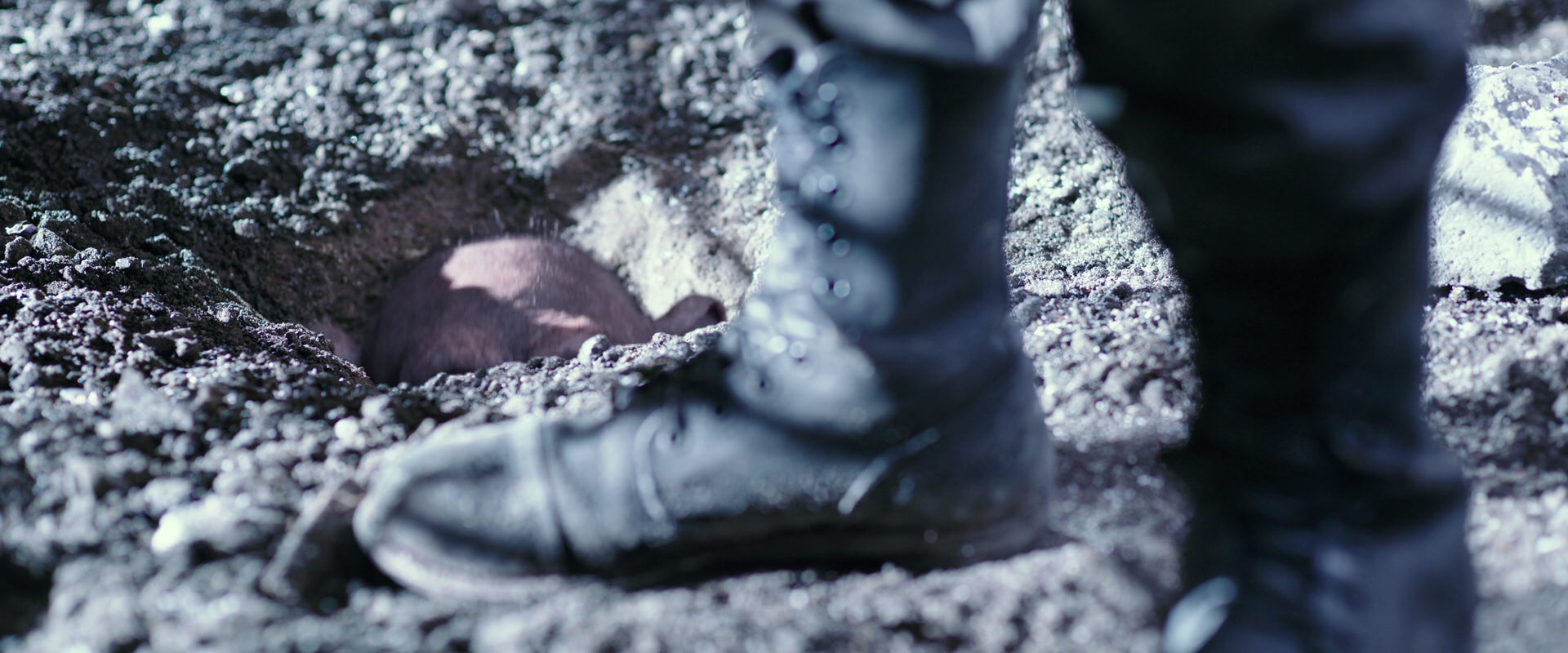 War for the Planet of the Apes (2017) screencap 12267