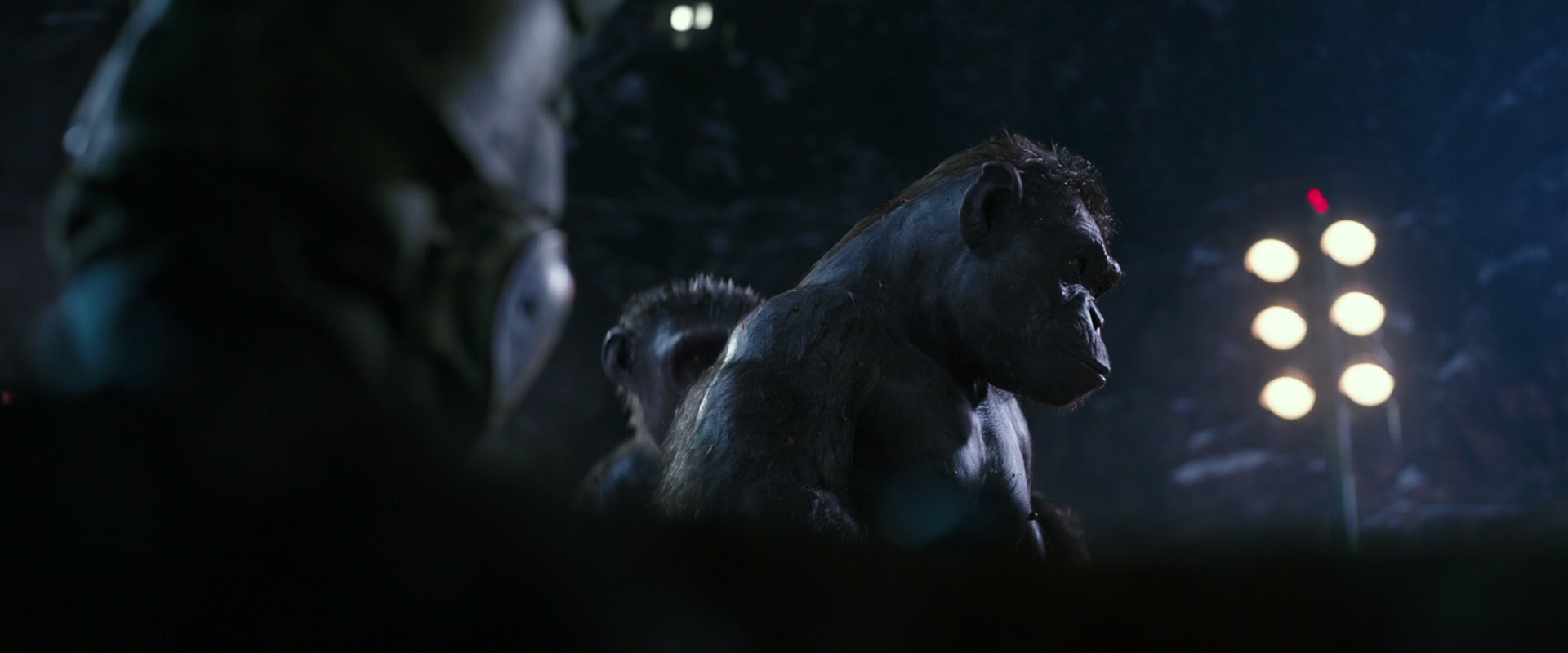 War for the Planet of the Apes (2017) HD screenshot 12269
