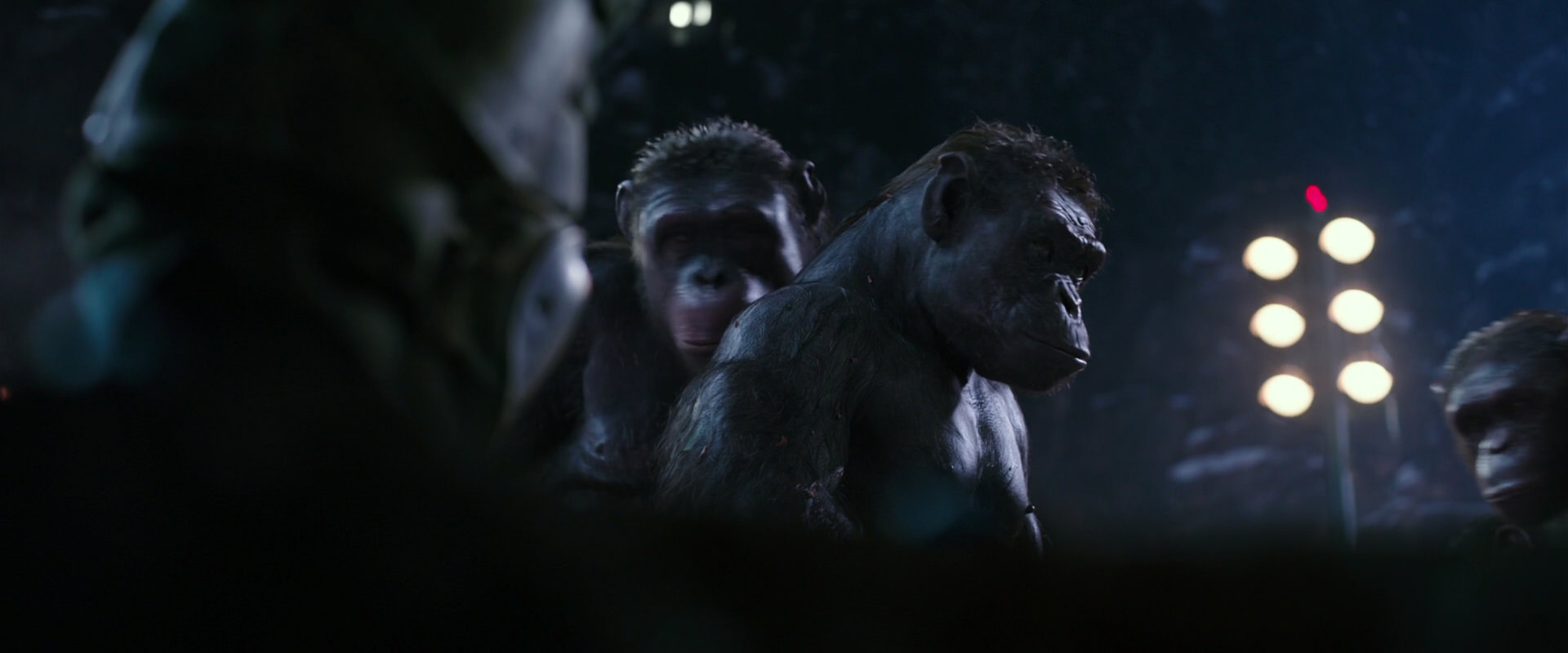 War for the Planet of the Apes (2017) screencap 12270