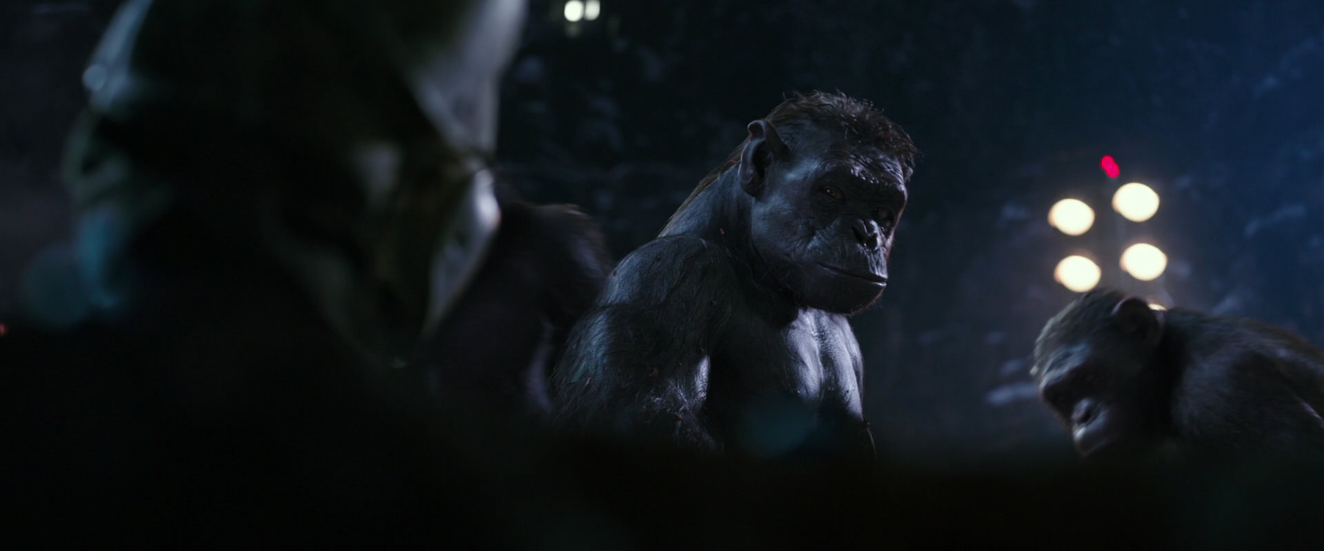 War for the Planet of the Apes (2017) movie still 12271