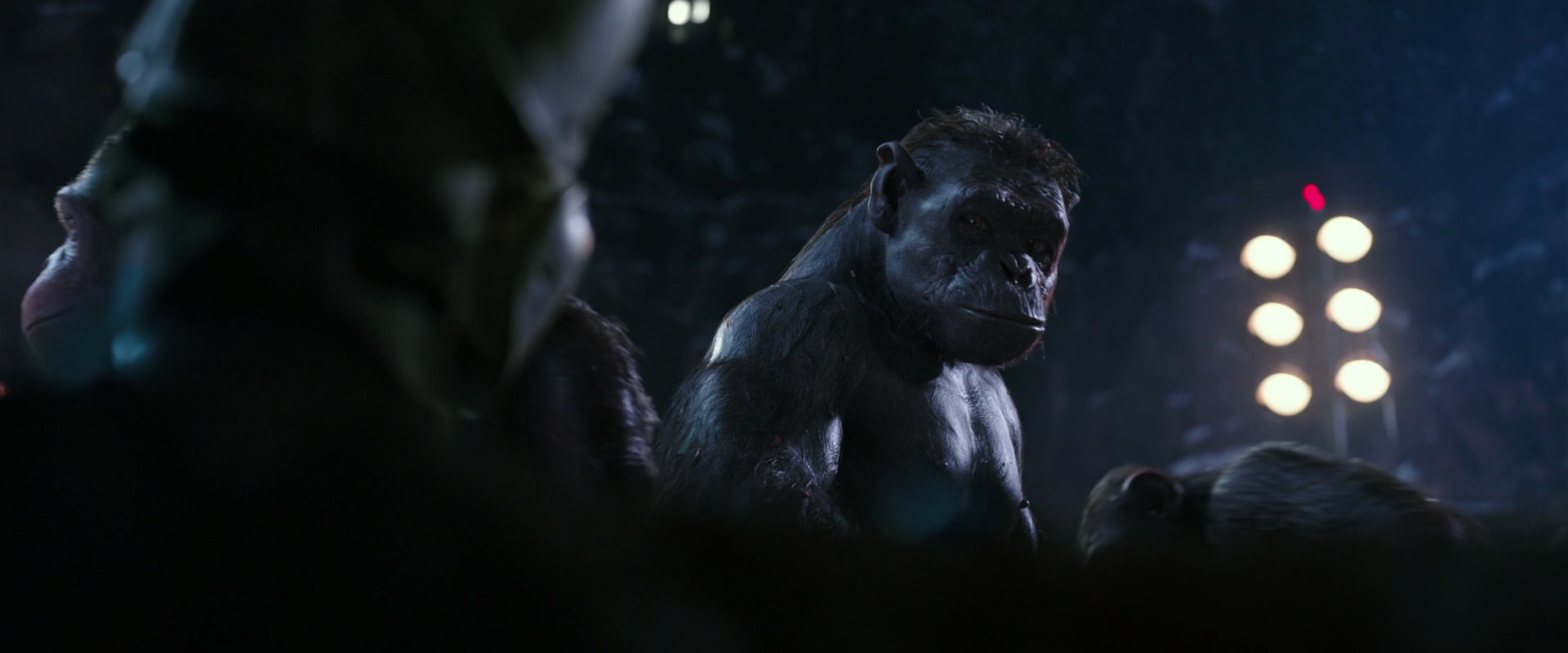 War for the Planet of the Apes (2017) HD screenshot 12272