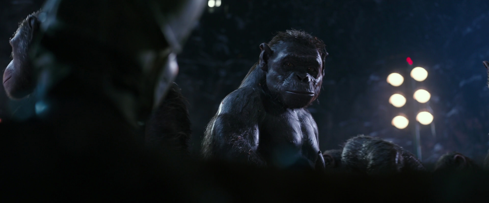 War for the Planet of the Apes (2017) screencap 12273