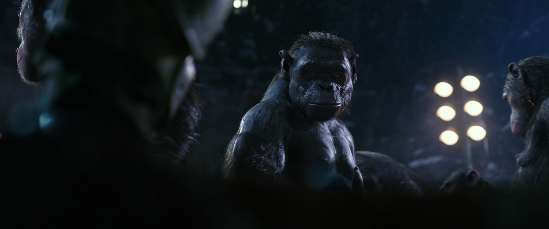 War for the Planet of the Apes (2017) movie still 12274