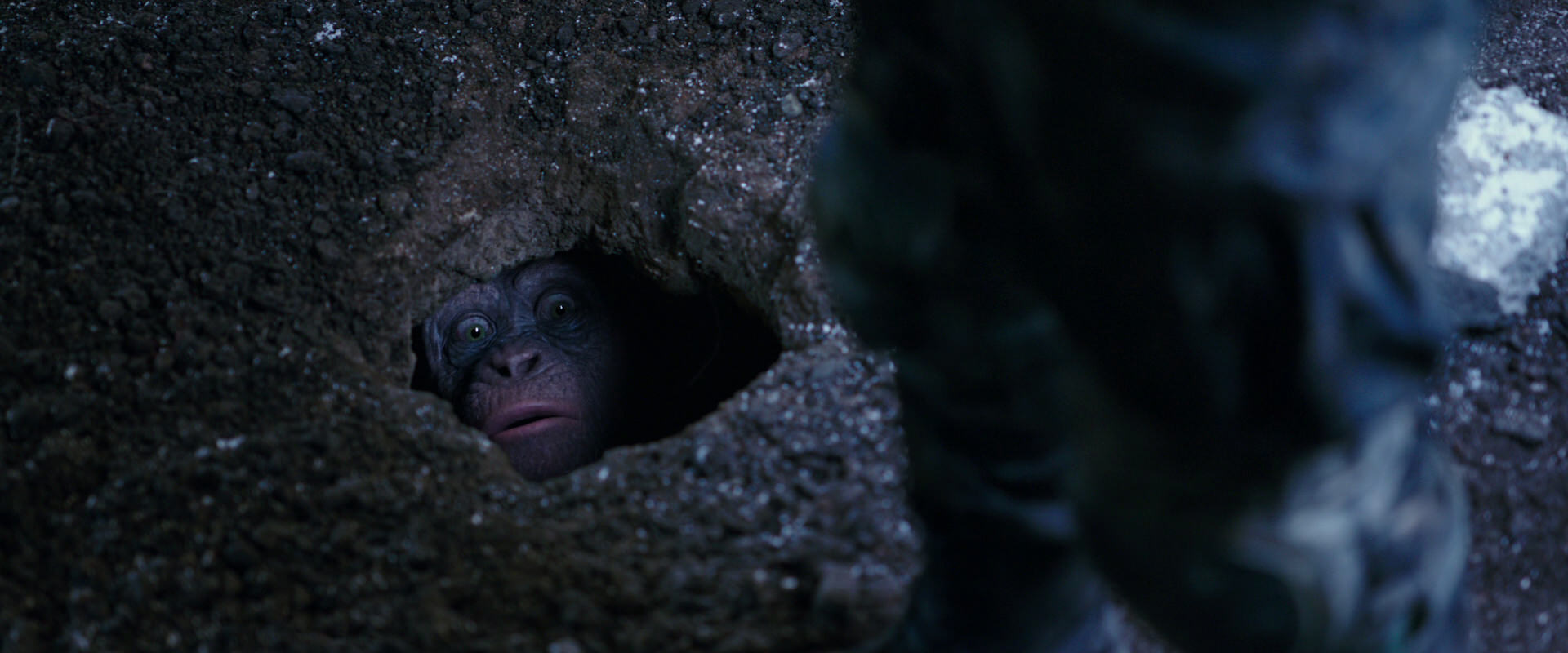 War for the Planet of the Apes (2017) HD screenshot 12275