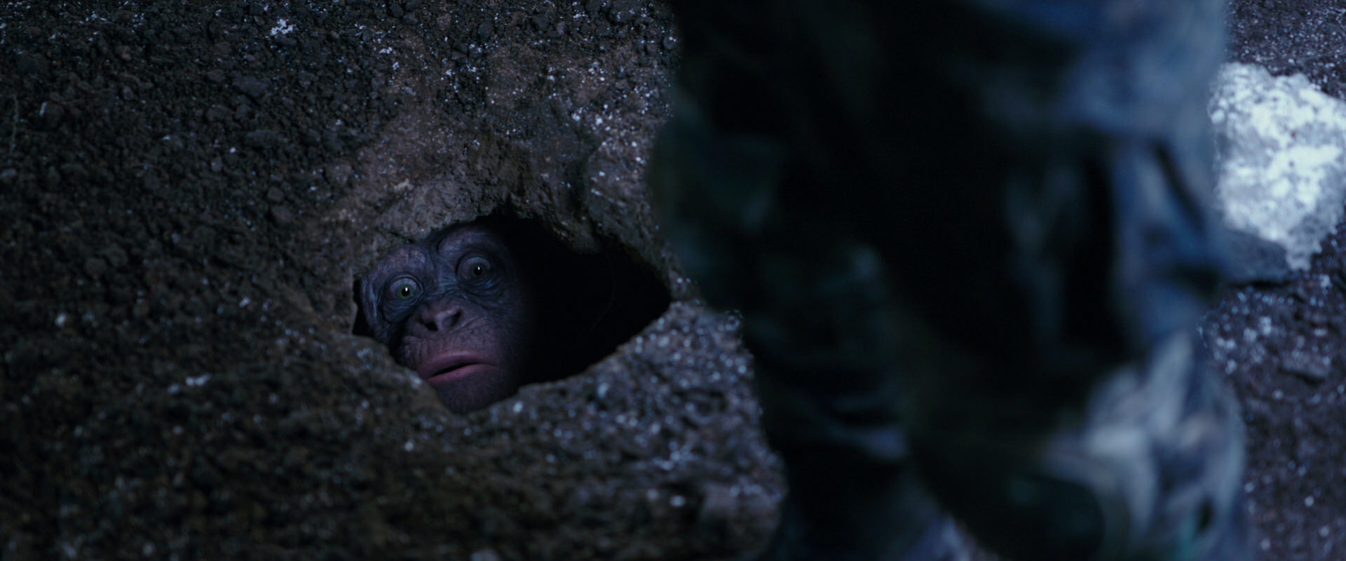 War for the Planet of the Apes (2017) screencap 12276