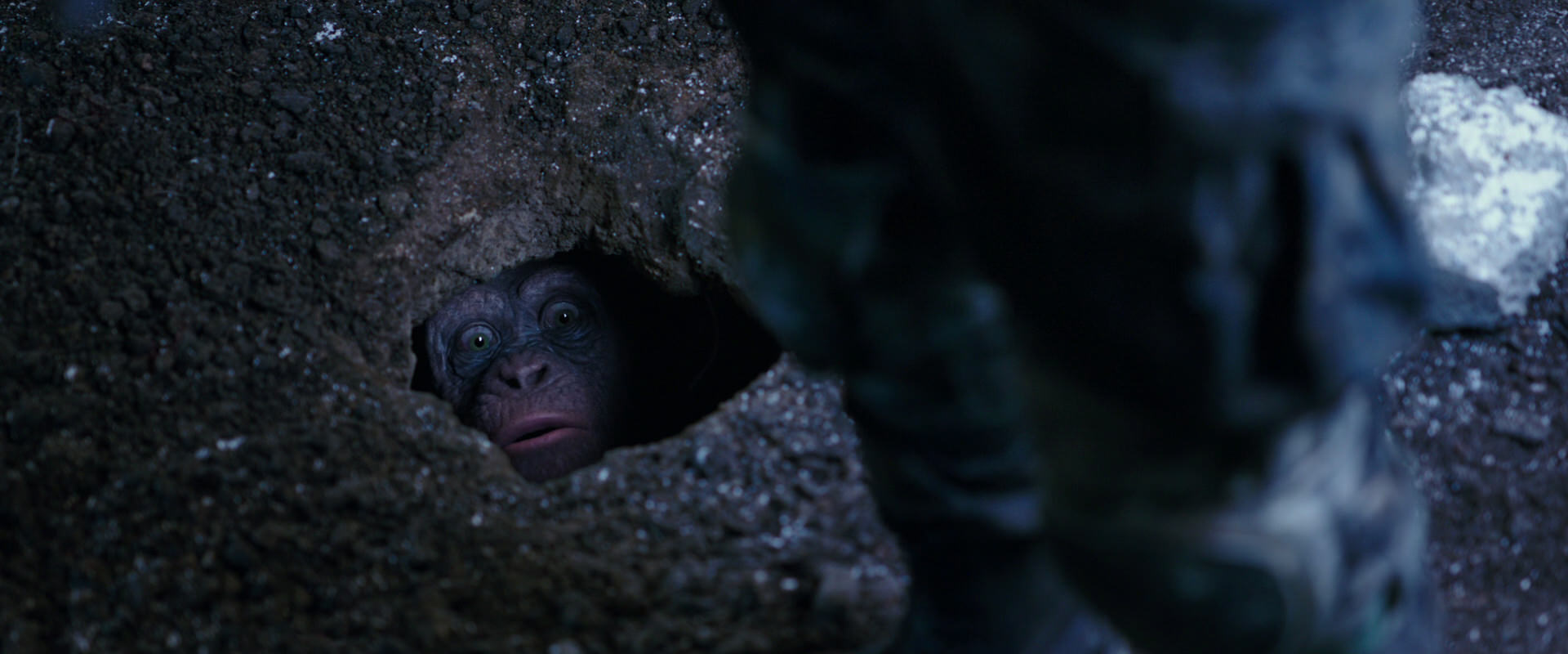 War for the Planet of the Apes (2017) movie still 12277