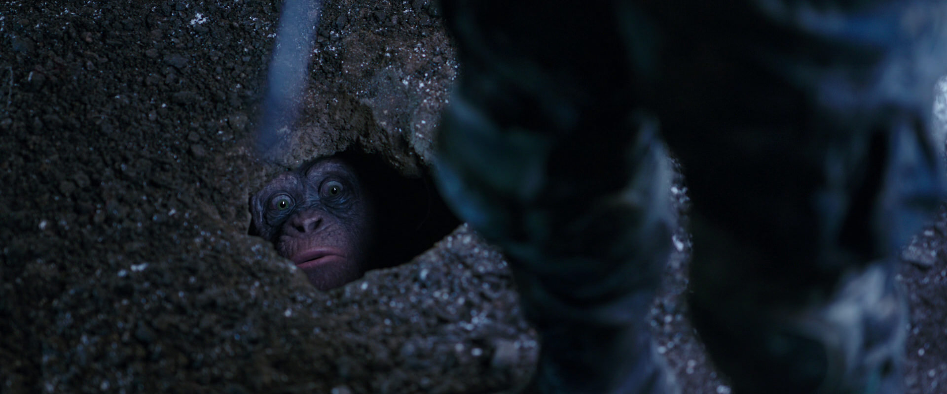 War for the Planet of the Apes (2017) screencap 12279