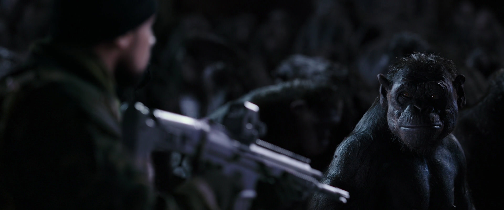 War for the Planet of the Apes (2017) movie still 12286