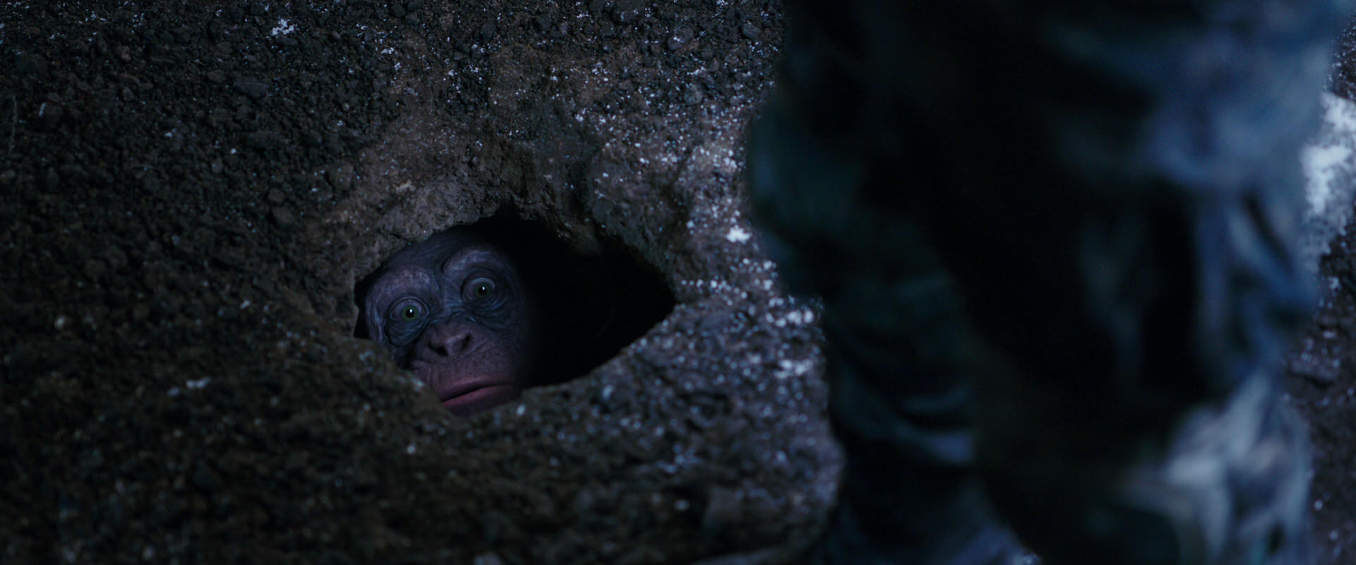 War for the Planet of the Apes (2017) screencap 12291