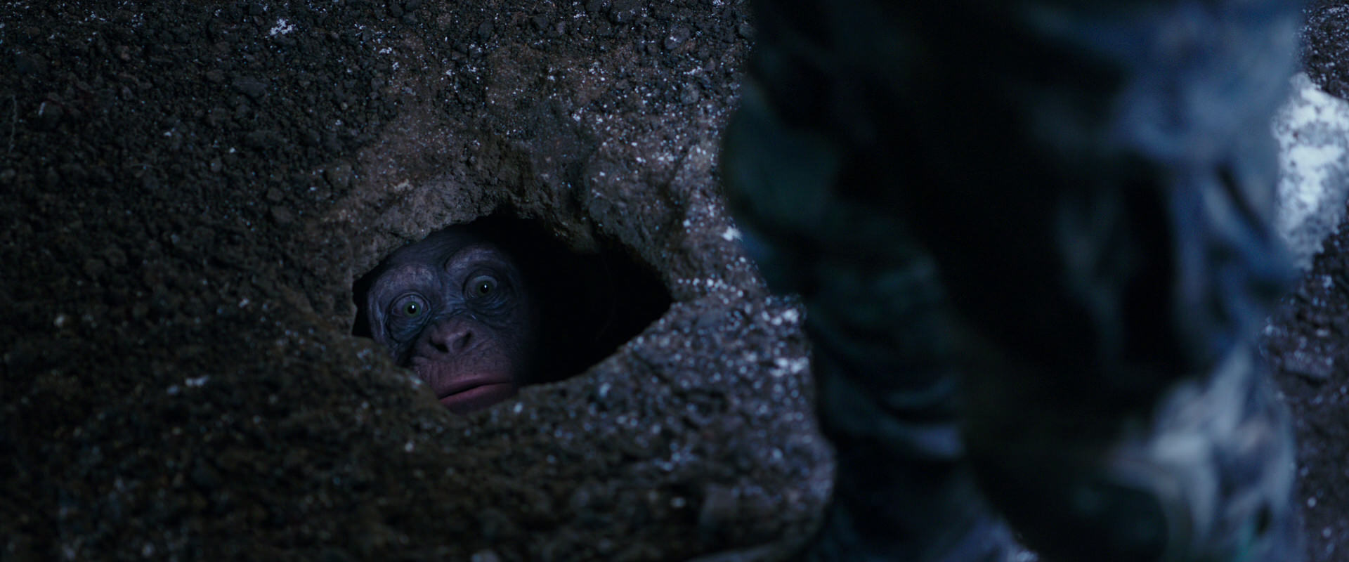 War for the Planet of the Apes (2017) movie still 12292