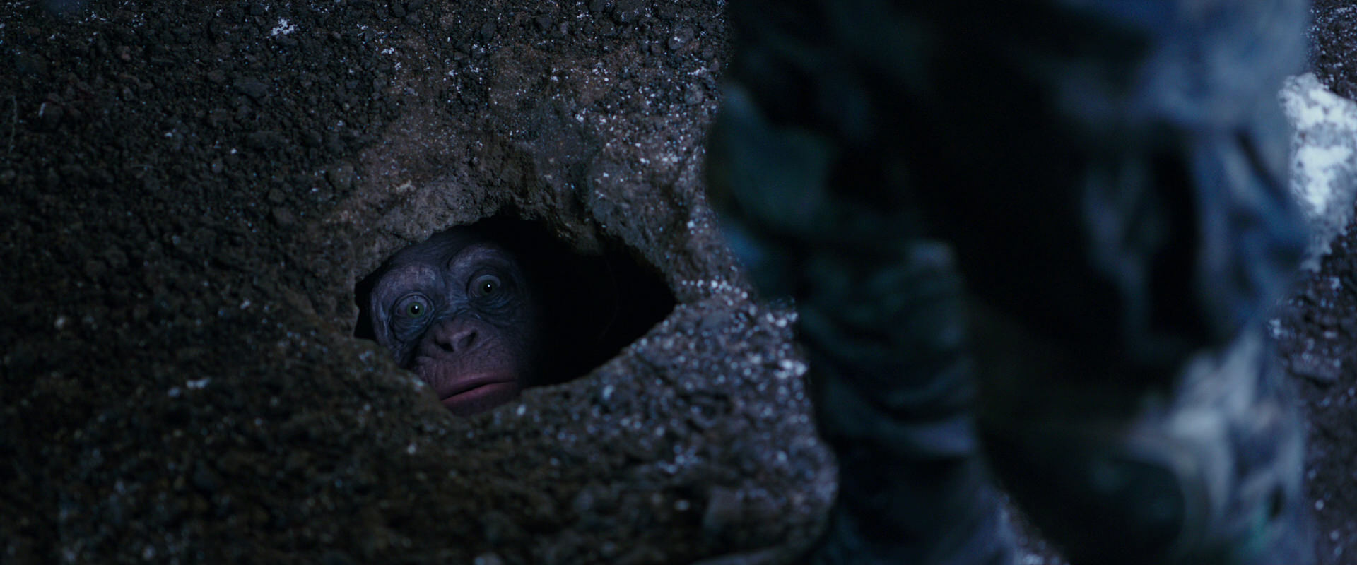 War for the Planet of the Apes (2017) HD screenshot 12293