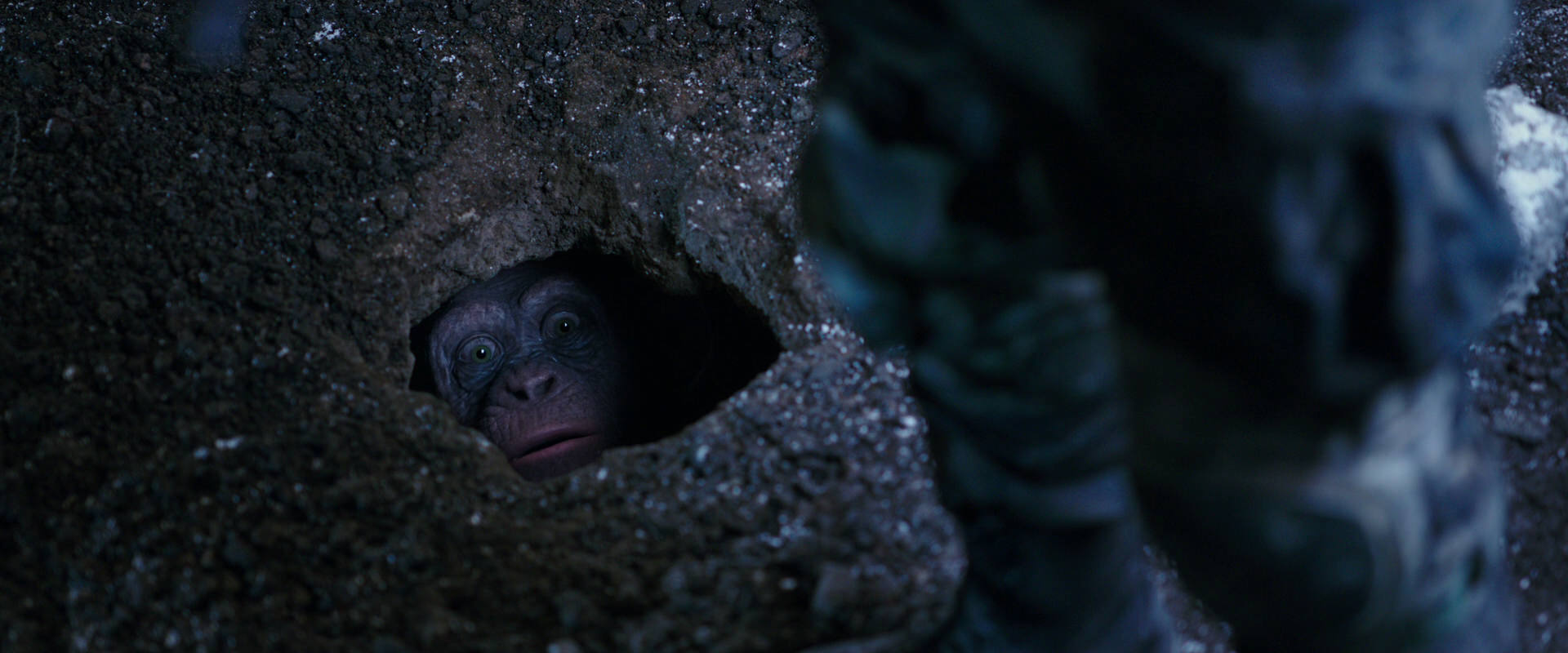 War for the Planet of the Apes (2017) screencap 12294