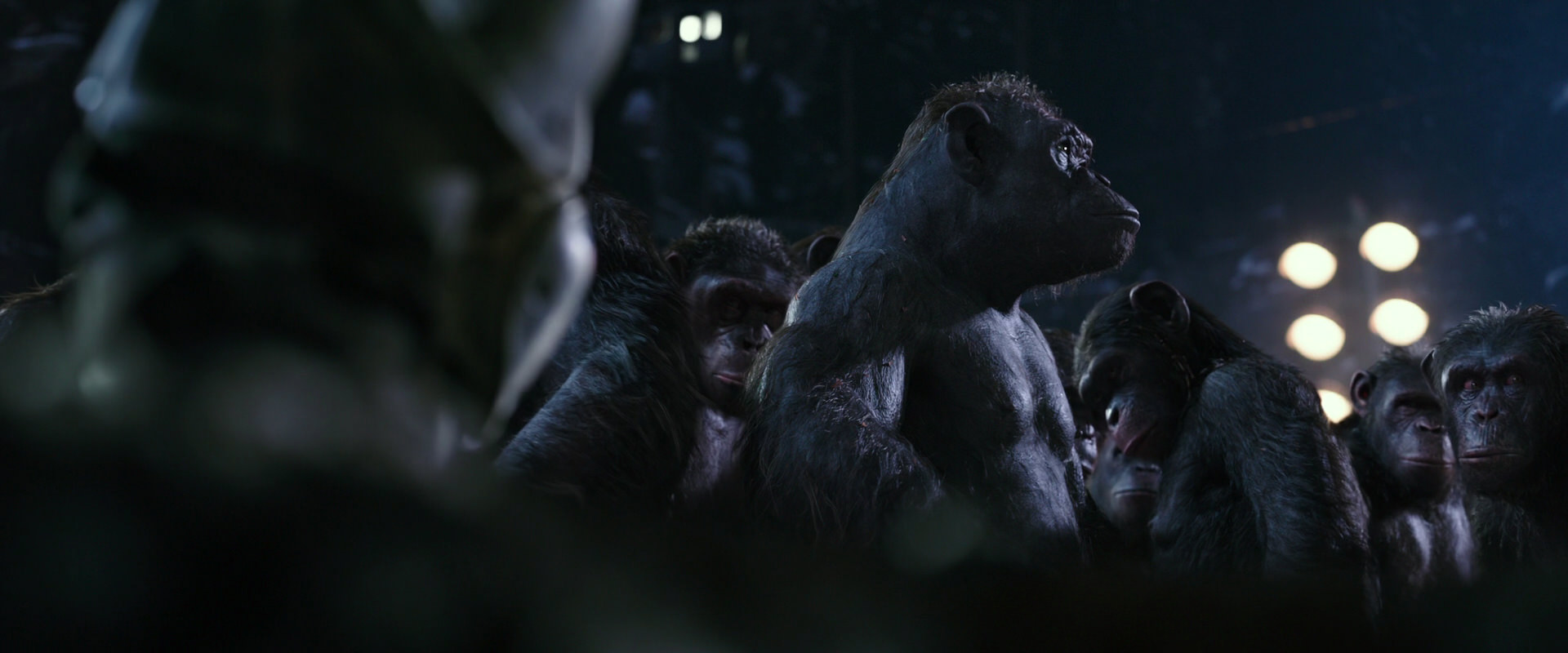 War for the Planet of the Apes (2017) movie still 12295