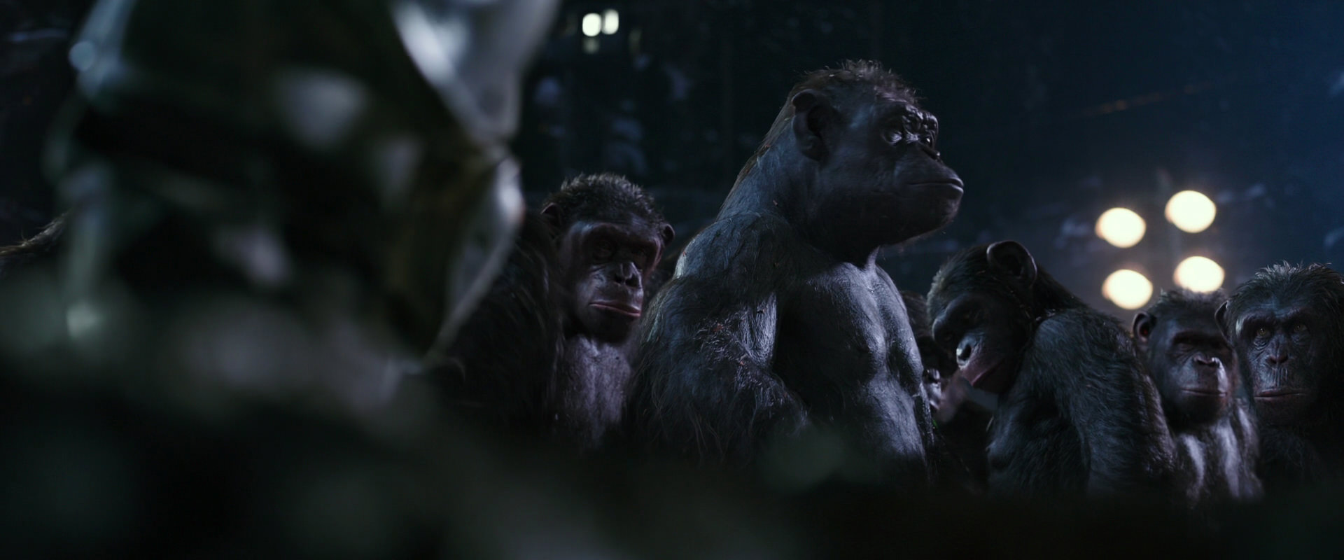War for the Planet of the Apes (2017) HD screenshot 12296