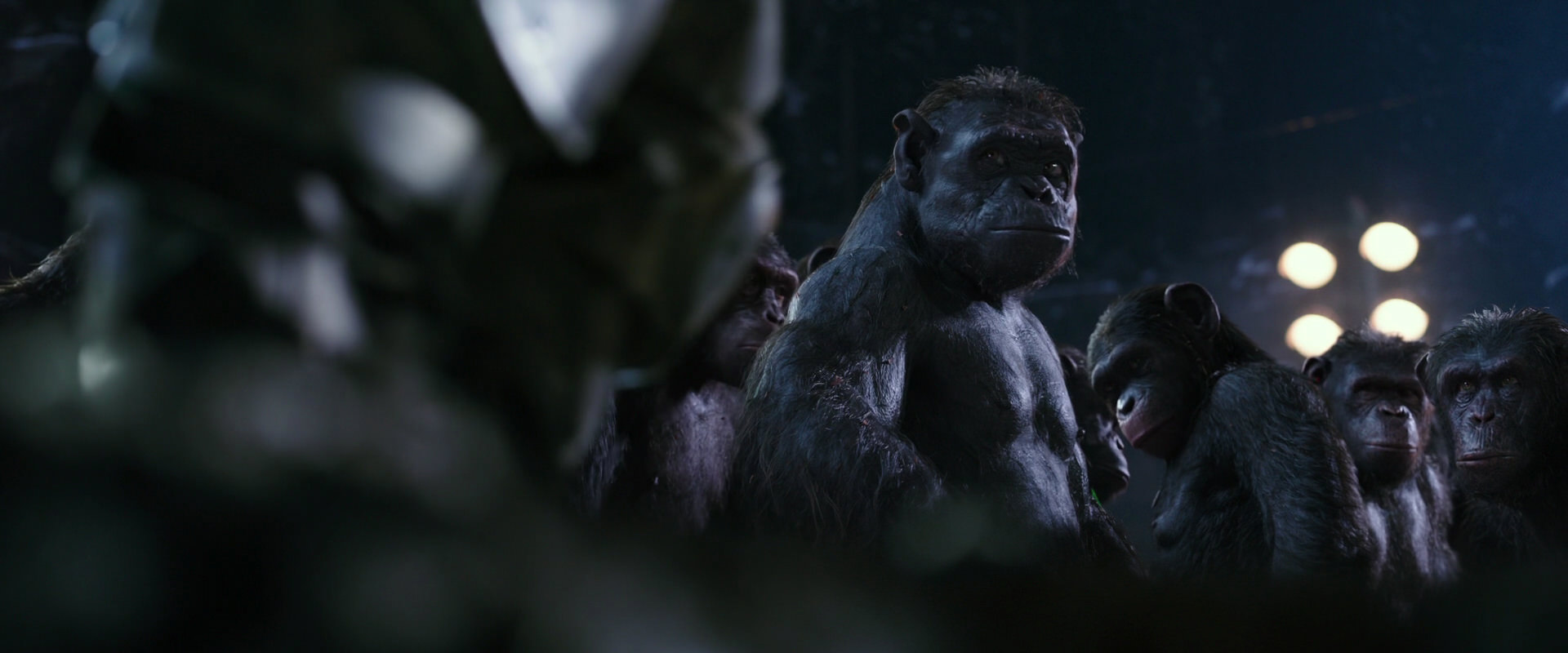 War for the Planet of the Apes (2017) screencap 12297