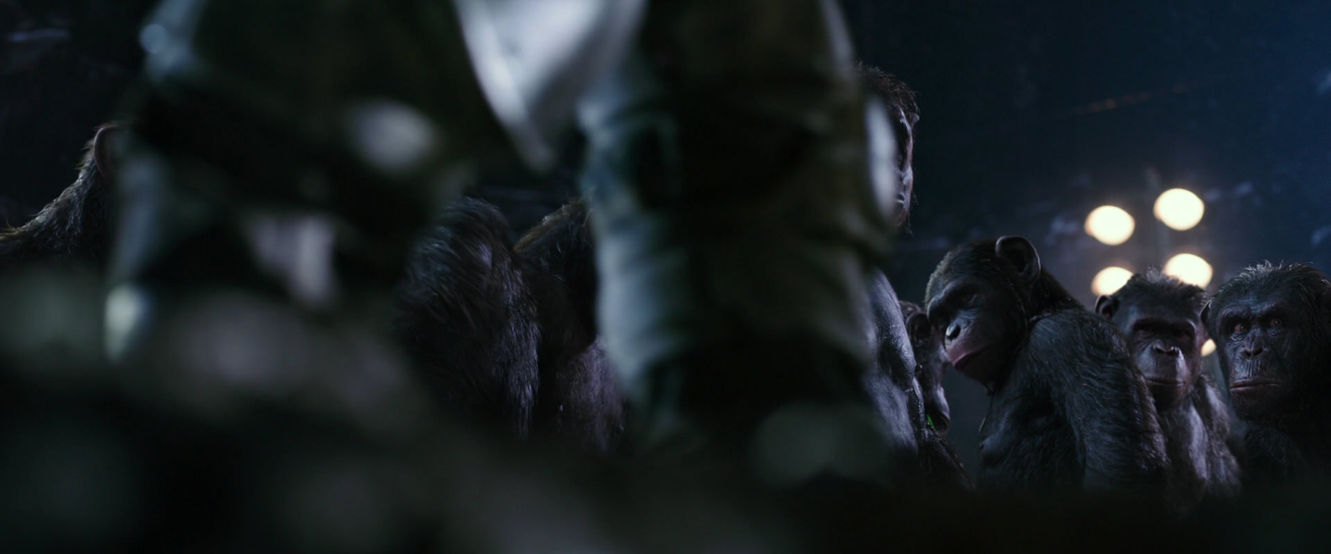 War for the Planet of the Apes (2017) movie still 12298