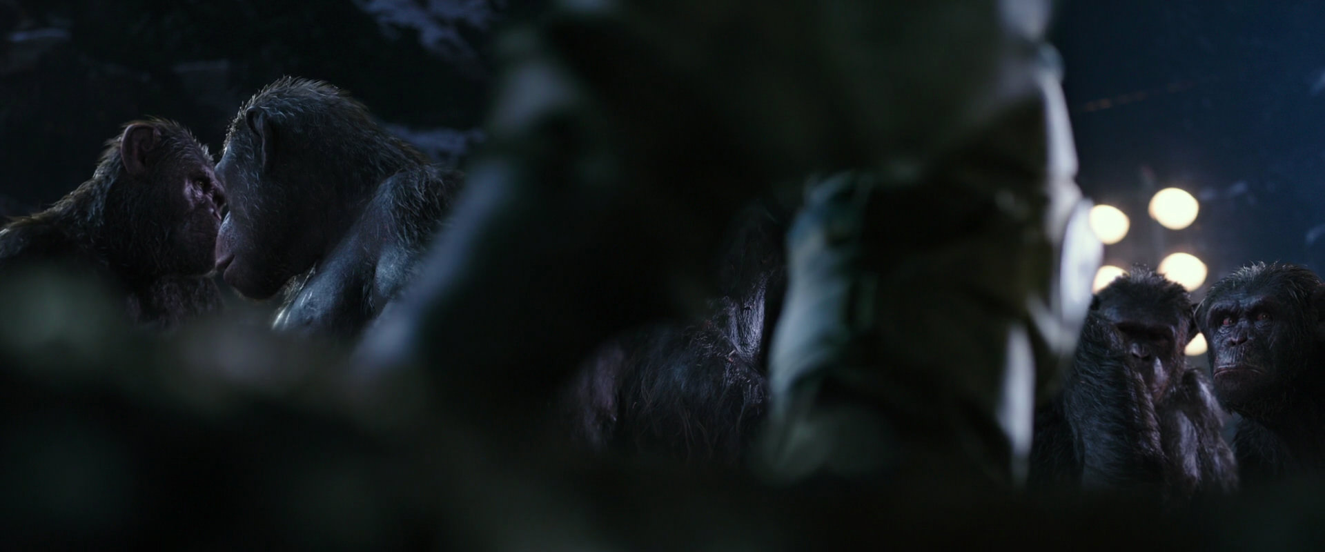 War for the Planet of the Apes (2017) HD screenshot 12299