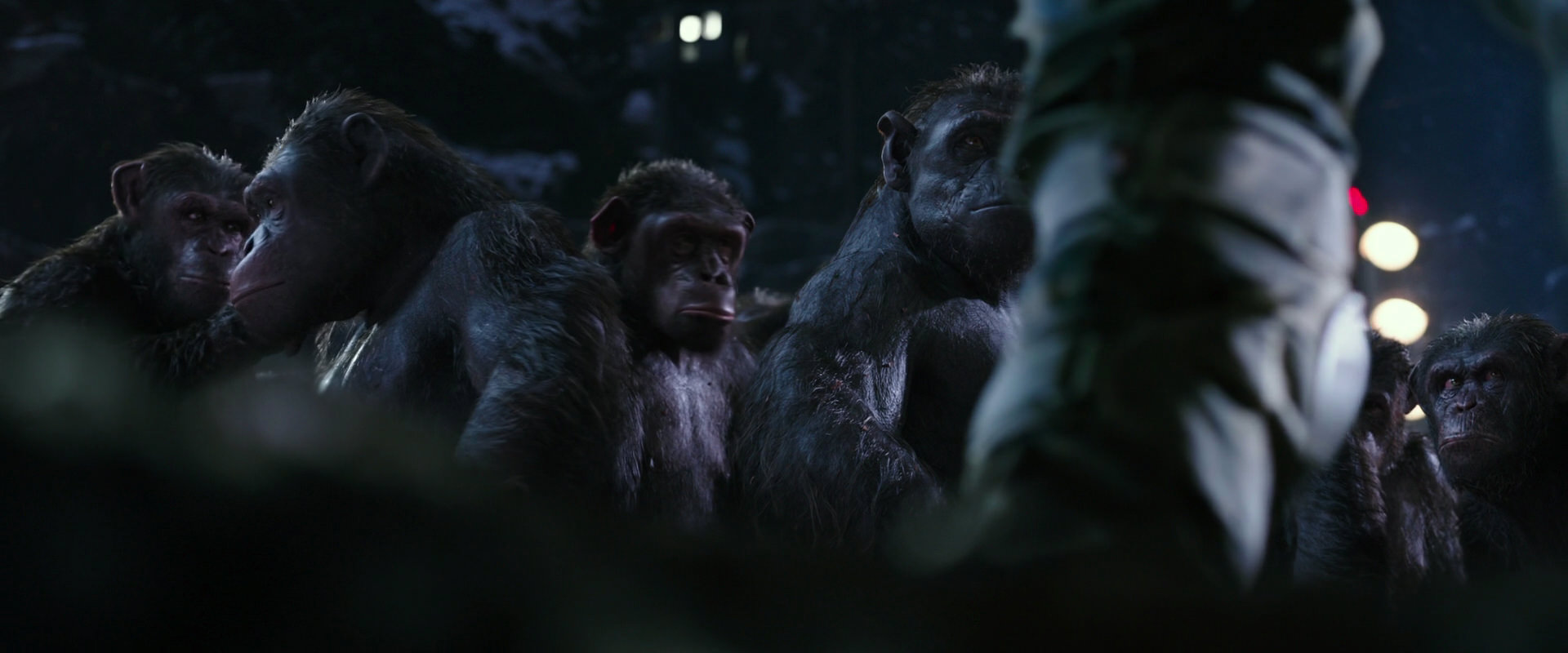 War for the Planet of the Apes (2017) screencap 12300