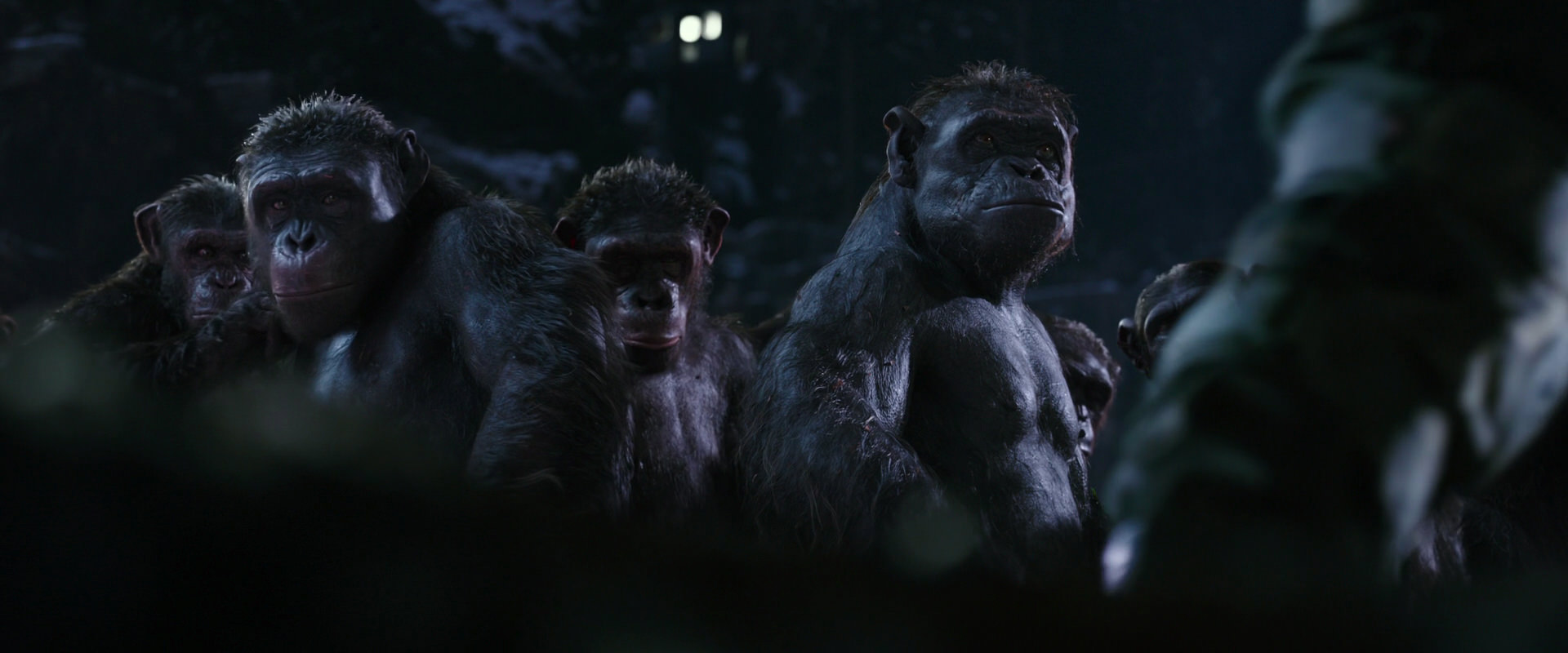 War for the Planet of the Apes (2017) movie still 12301