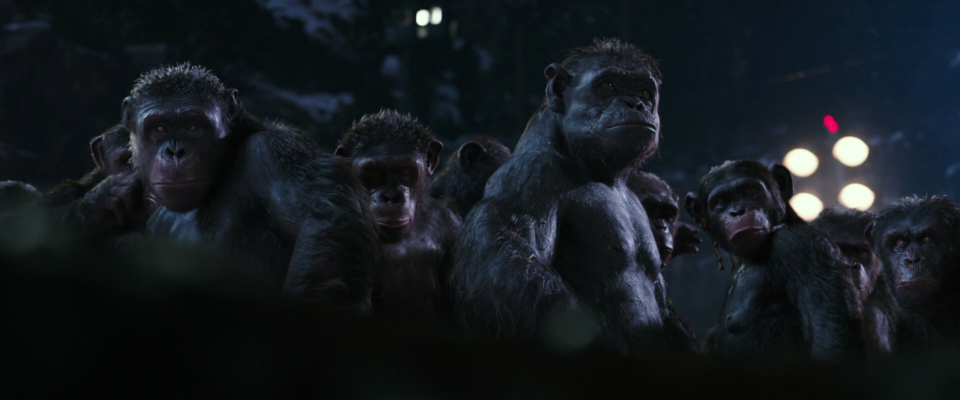 War for the Planet of the Apes (2017) HD screenshot 12302