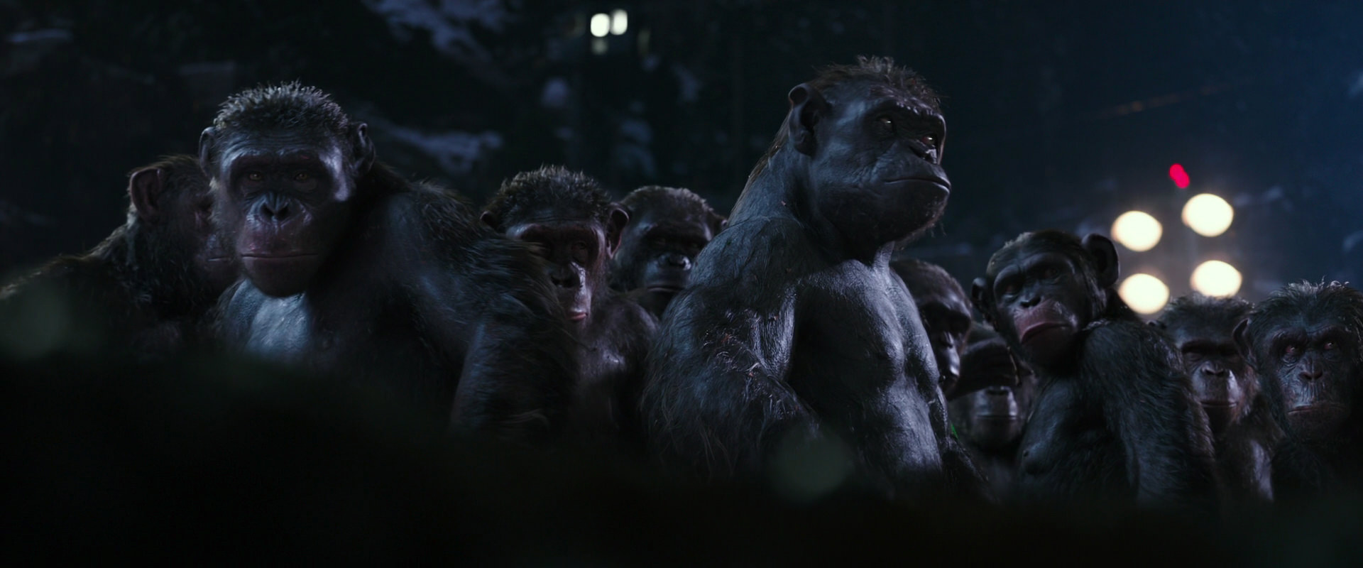 War for the Planet of the Apes (2017) screencap 12303