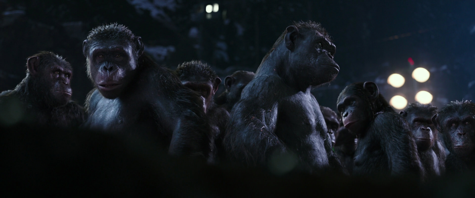War for the Planet of the Apes (2017) movie still 12304