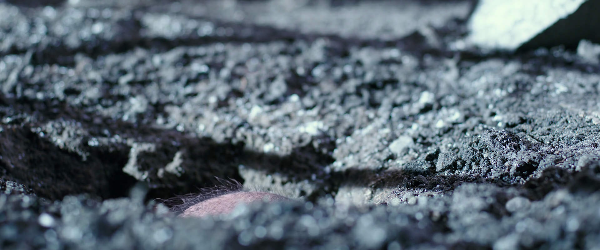War for the Planet of the Apes (2017) HD screenshot 12305