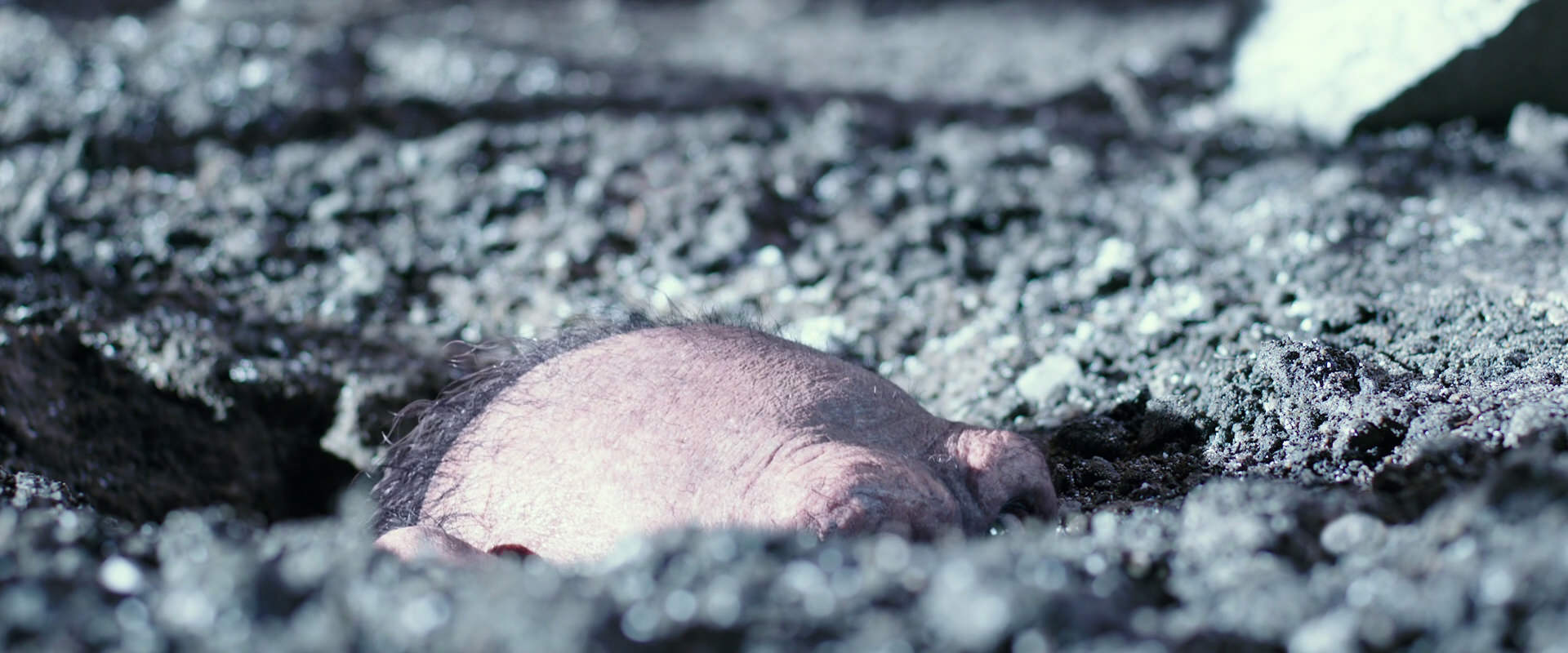 War for the Planet of the Apes (2017) HD screenshot 12308