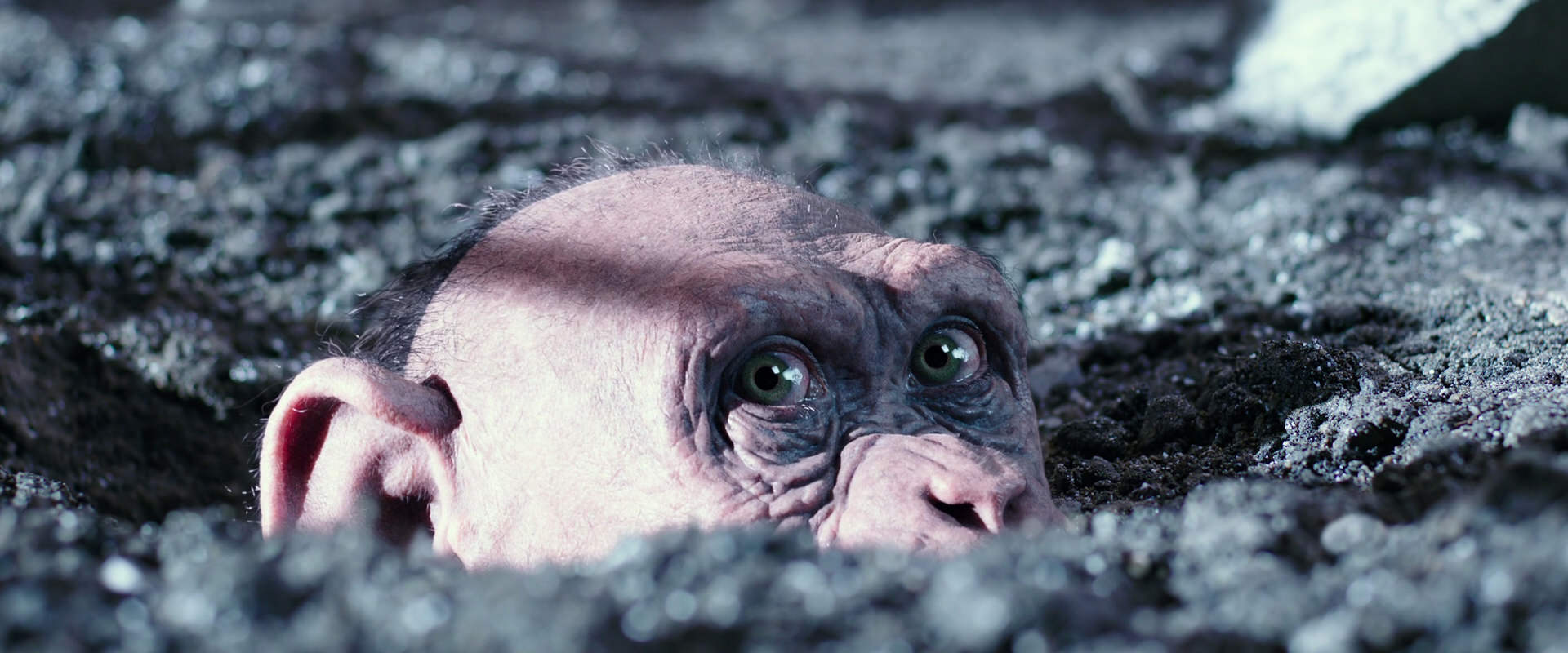 War for the Planet of the Apes (2017) movie still 12313