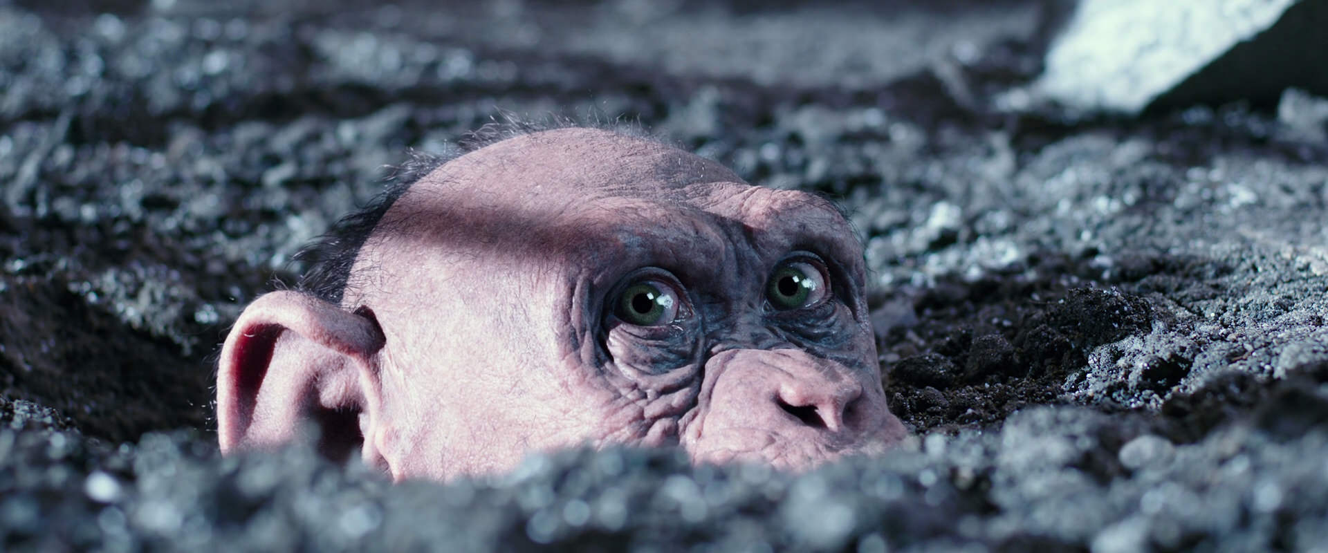 War for the Planet of the Apes (2017) HD screenshot 12314