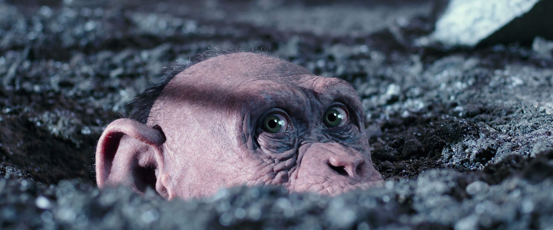War for the Planet of the Apes (2017) screencap 12315