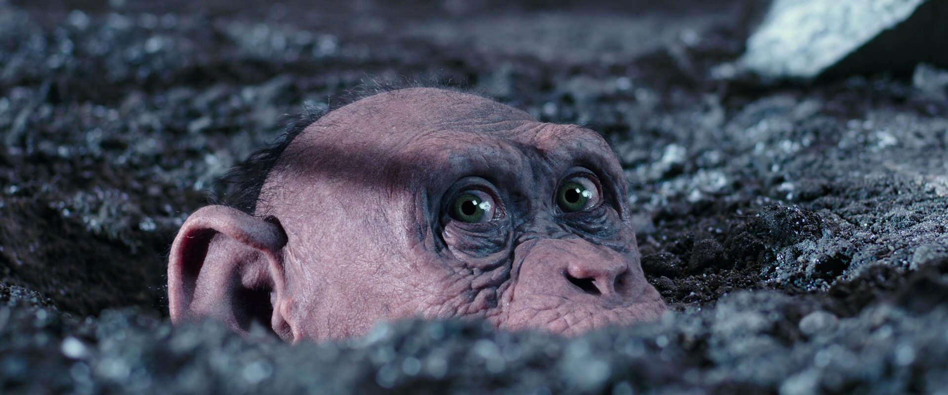 War for the Planet of the Apes (2017) movie still 12316