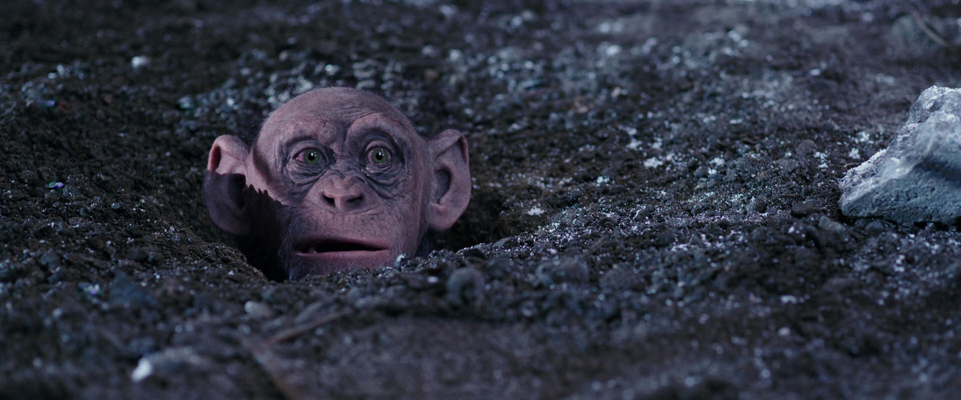 War for the Planet of the Apes (2017) HD screenshot 12323