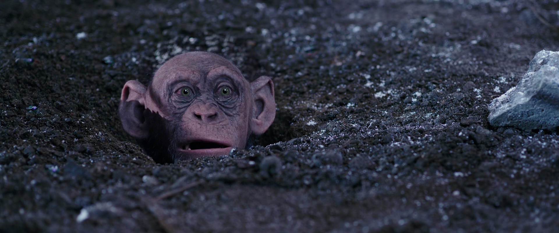 War for the Planet of the Apes (2017) screencap 12324