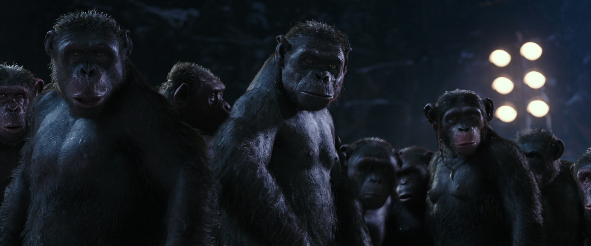 War for the Planet of the Apes (2017) movie still 12325