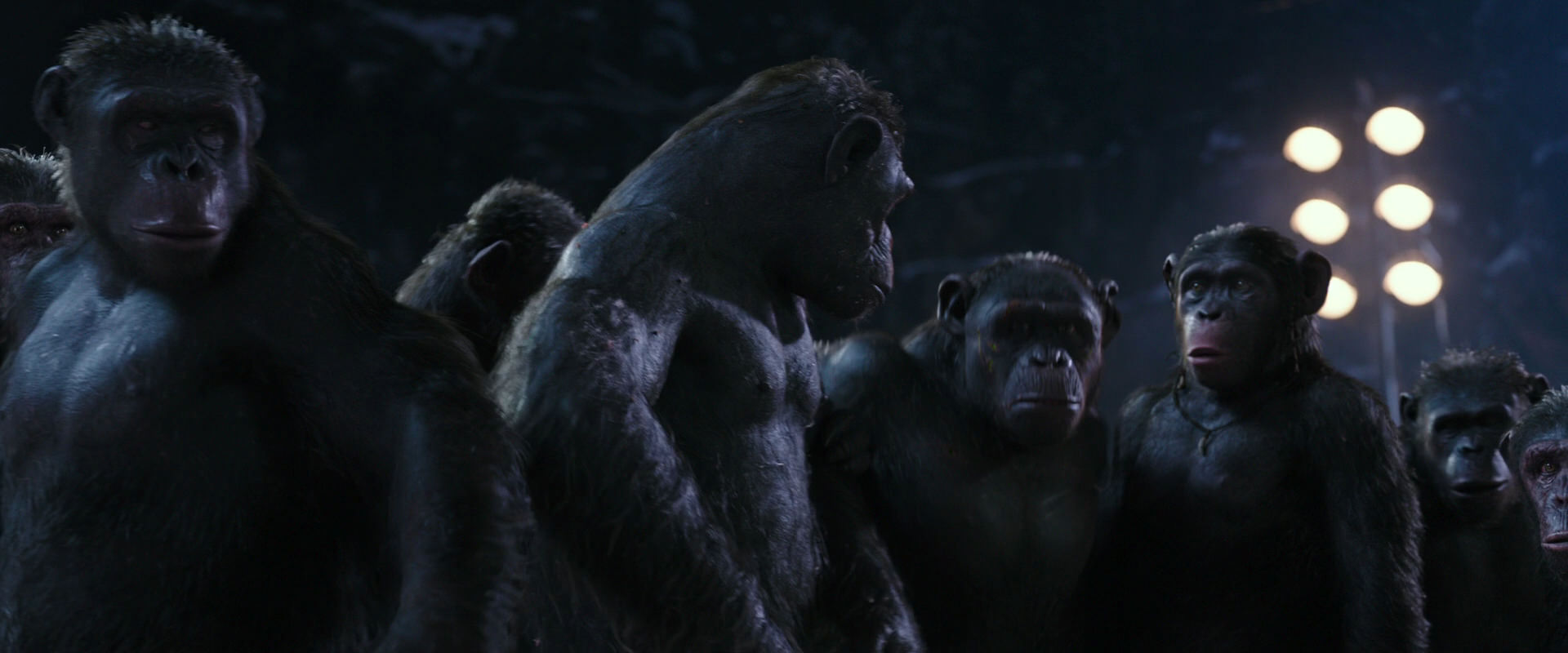 War for the Planet of the Apes (2017) HD screenshot 12326