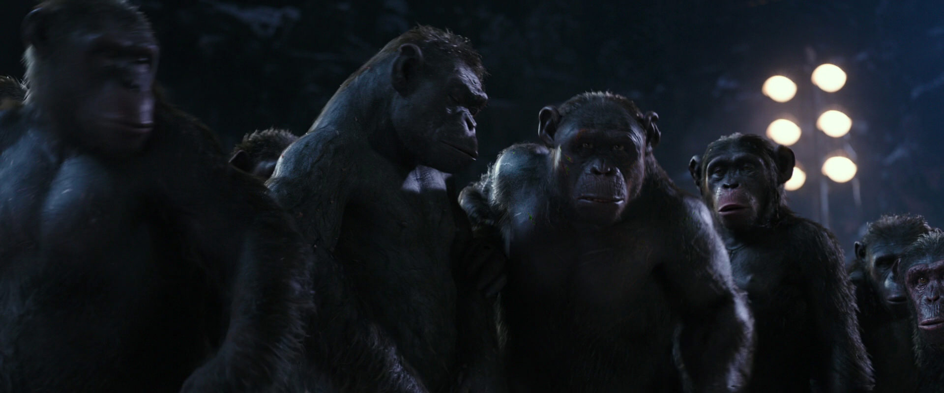 War for the Planet of the Apes (2017) screencap 12327