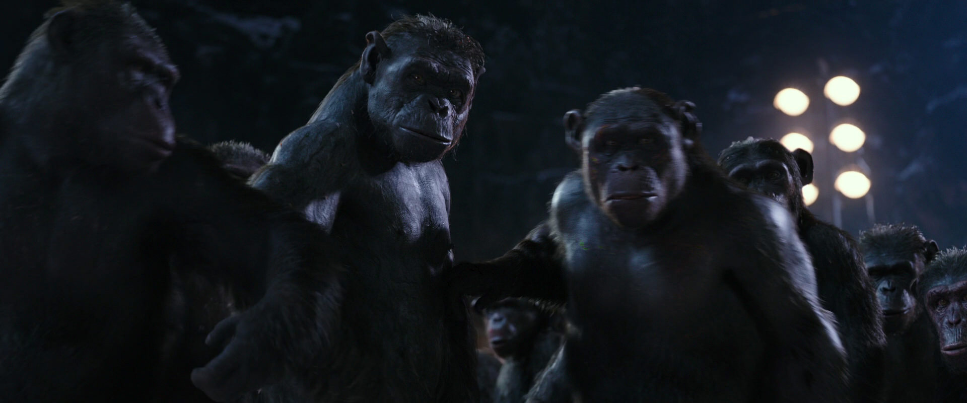 War for the Planet of the Apes (2017) movie still 12328